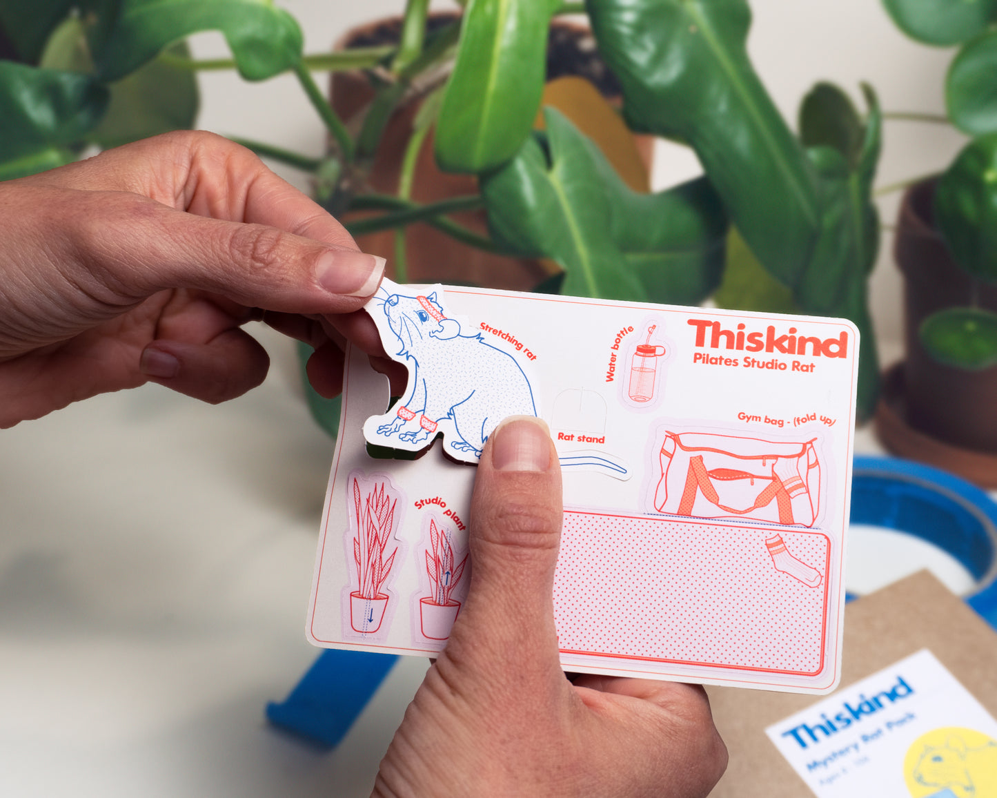 Mystery rats come flat in paper card. Pop out rat and accessories to assemble collectible paper model kit.