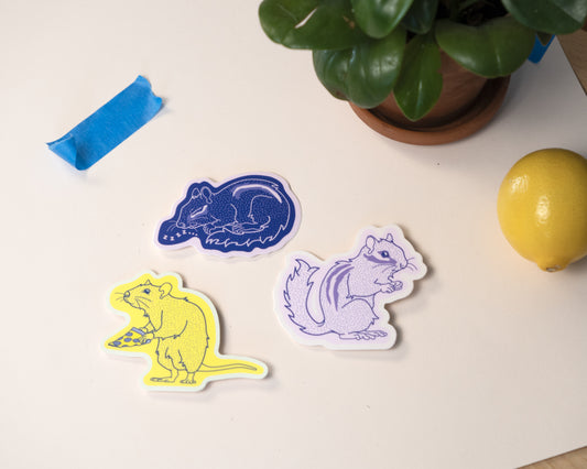 Thiskind playful collection of vinyl sticker designs. Illustrations include nyc subway pizza rat in yellow, friendly chipmunk in pink, and cozy sleeping chipmunk in navy blue. 
